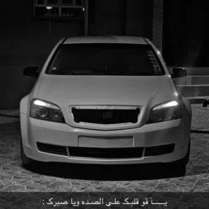 محمد 