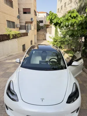 Tesla Model 3 Standard Plus 2022 Full 2023 Specs LFP Battery