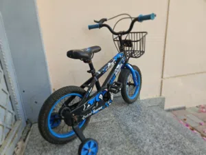 Kids Bicycle for Sale (Blue)