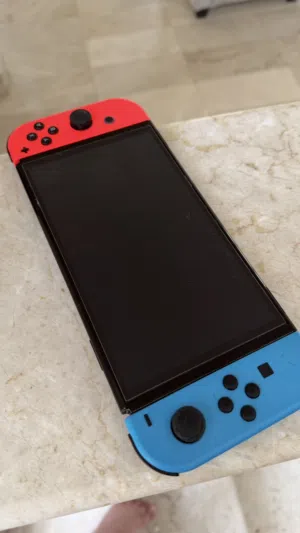 ننتندوا مستخدم 1 شهر بدون أي ملحق