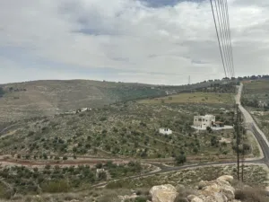 Farm Land for Sale in Zarqa Birayn
