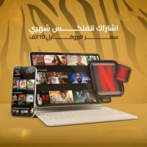 Netflix Accounts and Characters for Sale in Basra
