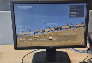 Dell Monitors for sale