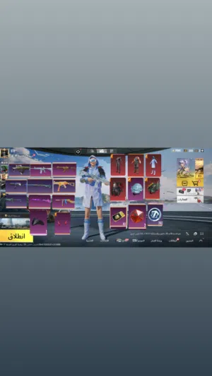 Pubg Accounts and Characters for Sale in Southern Governorate