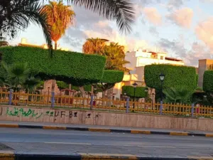 فيلا كبيرة و نظيفة متفرع من شارع جرابة للبيع.. اقرأ الإعلان اكويس