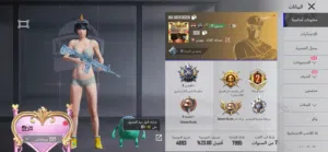 Pubg Accounts and Characters for Sale in Basra