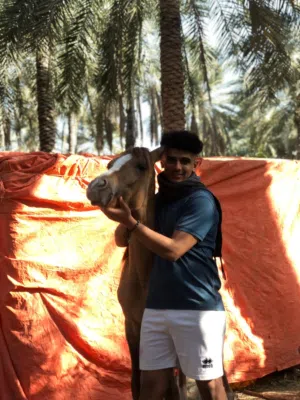 مساج الا المنزل