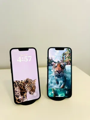 Apple iPhone 13 128 GB in Tripoli