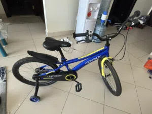 kids bike 20inches