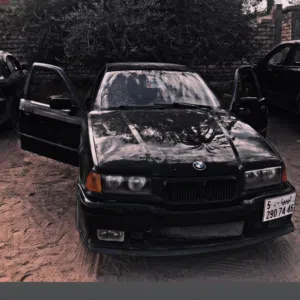 amir 