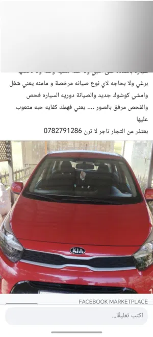 بيكانتو للبيع