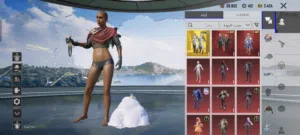 Pubg Accounts and Characters for Sale in Al Batinah