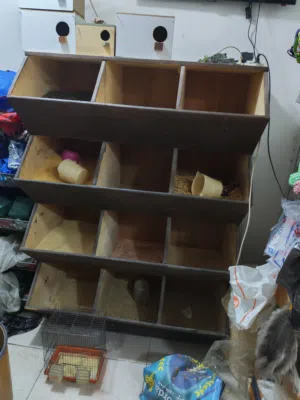 أرفف اعلاف