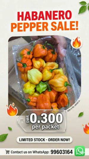 Habanero Chilli RO 0.300 per Pkt