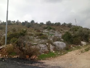 الاستخدام المتعدد . 1403 م٢ . المالك2