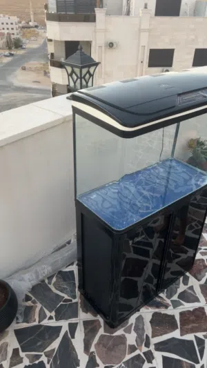 حوض سمك كبير
