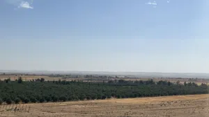 Farm Land for Sale in Mafraq Um Al Jimal