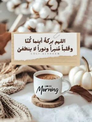 شقتين للبيع عين زاره خلة النور بقرب من مدرسه النور المتجدد على الطريق الرئيسى الفرعى ينفع تجارى