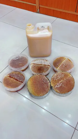 Honey4