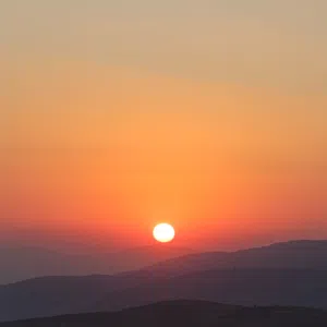 د. عامر 
