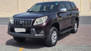 Toyota parado 2012