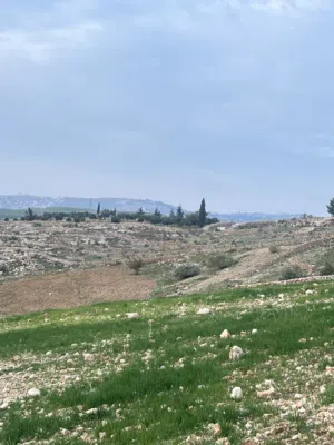 Residential Land for Sale in Amman Badr Jdedeh