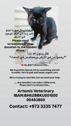 للتبرع محتاجين مساعدة