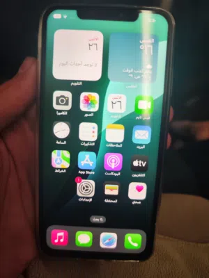 iphone xs max 256 GB