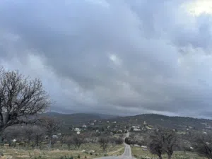 Farm Land for Sale in Zarqa Sarout