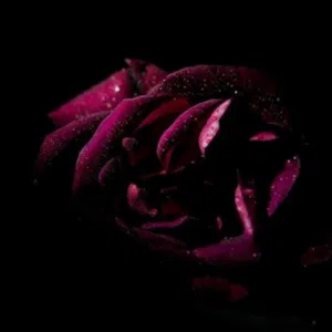Abeer j..h 