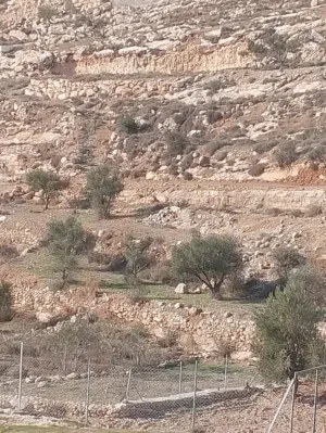 قطعة ارض للبيع