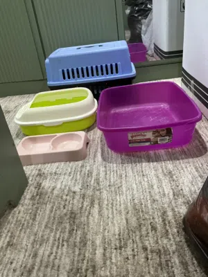 Cat litter boxes and food plate