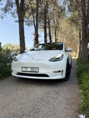 Used Tesla Model Y in Amman