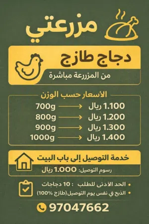 دجاج طازج فريش من المزرعة