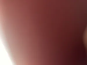 متوفر حمام و عصافير اي نوع بأي كميه