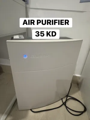 Blue Air Purifier