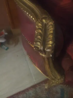 صالون كوربيه