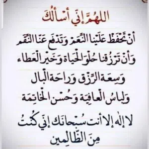 Saed Saed 