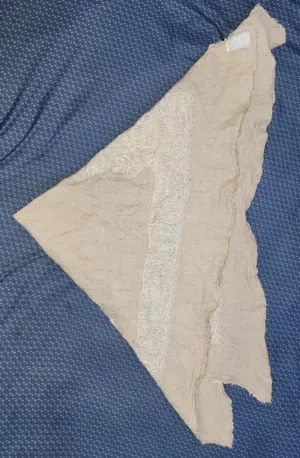 مصر كشميري اصلي