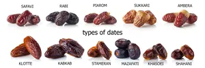 Selling Dates at Wholesale Prices With the Best Quality From Iran per 100 Kgr.