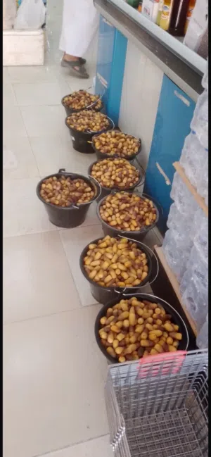 رطب نغال للبيع الكيلو ب 400 بيسه