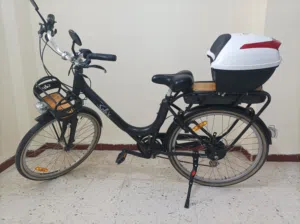 velo électrique solex