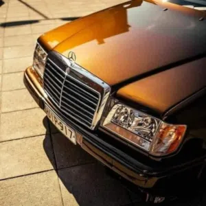 البلدوزر للبيع والشراء 