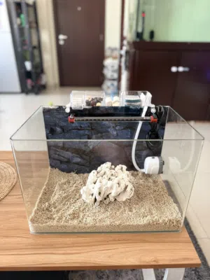 Complete set aquarium