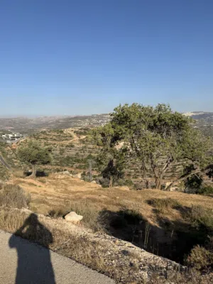 Mixed Use Land for Sale in Ramallah and Al-Bireh Qarawat Bani Zeid