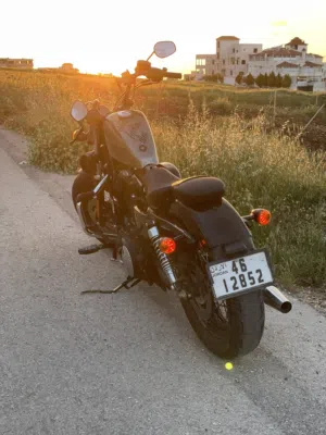 Harley forty eight 2014