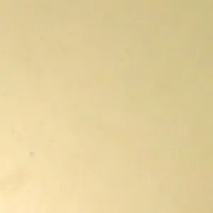 سعيد 