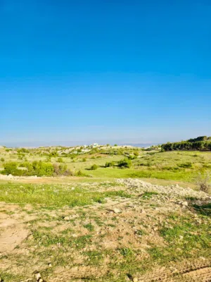 Farm Land for Sale in Jerash Soof