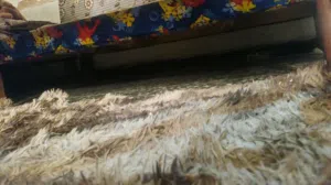 جربيه نفر واحد
