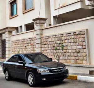 معاد معاد 